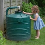 Creating a wildlife-friendly garden in your backyard