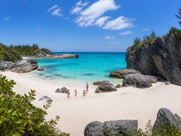 Bermuda best time to go for a family-friendly eco trip